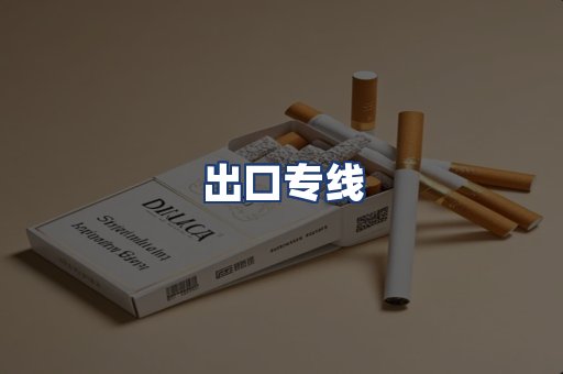 出口专线